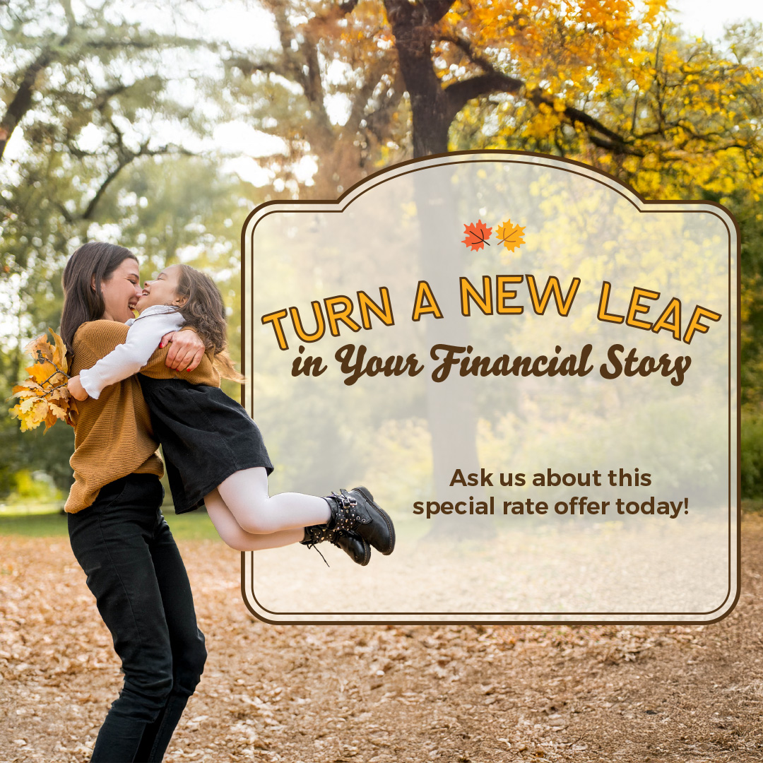 3.99% APR for 15 months balance transfer special rate. Please call 773-881-2500 for details.